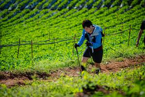 BIB: 
                            <button type="button" onclick="openModal(19162071)" class="btn btn-primary btn-sm float-right btn-popup" data-toggle="modal" data-target=".modal-high-quality">
                        <i class="fas fa-shopping-cart"></i> Add to Cart
                    </button>
                                            <button type="button" onclick="isThisMe(19162071, true)" class="btn btn-success btn-sm float-right btn-popup btn-isme hidden" data-toggle="tooltip" data-placement="bottom" title="นี่คือรูปของคุณใช่ไหม คลิกที่นี่เพื่อเอาเข้าอัลบั้ม">
                        <i class="fas fa-plus"></i> Add to album
                    </button>
                    <button type="button" onclick="isThisMe(19162071, false)" class="btn btn-warning btn-sm float-right btn-popup btn-isnotme hidden">
                        <i class="fas fa-ban"></i> Remove from album
                    </button>